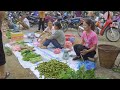 harvesting fig fruits u0026 goes to the market sell gardening and building hometown life