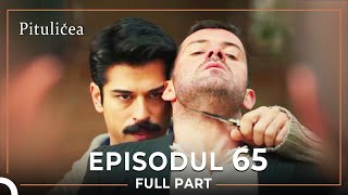 Pitulicea | Episodul 65