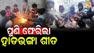 ପୁଣି ଫେରିଲା ହାଡଭଙ୍ଗା ଶୀତ | Dumani TV