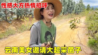 云南单身美女约大超上山采菌子，山珍美味太诱人，大超差点在山上“躺板板”【大超走四方】