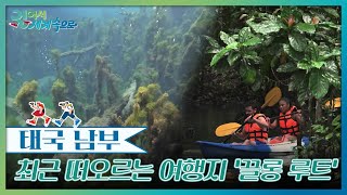 최근 떠오르는 여행지 ‘끌롱 루트’ [걸어서 세계속으로] | KBS 240928 방송