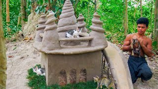 Homeless Kittens Building Cat House For Kitties