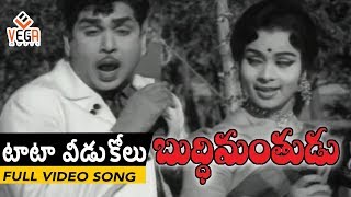 Buddhimanthudu Movie Songs || Tata Veedikolu || ANR || Vijaya Nirmala | Vega Music