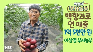 [역전의부자농부 259회] 백향과로 연 매출 1억 5천만 원! 전남 순천 이삼열 부자농부