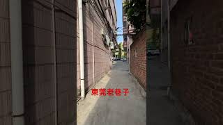 東莞老巷子|DONGGUAN ALLEY