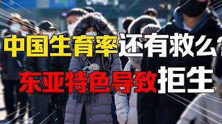 【九边】中国沦入日本境地？生育率暴跌无需担心，学习西方不可避免