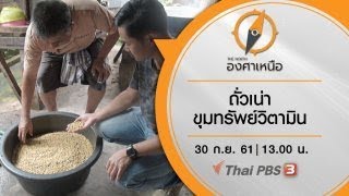 The North องศาเหนือ :  ถั่วเน่า ขุมทรัพย์วิตามิน  (30 ก.ย.61)