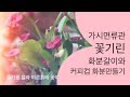 꽃기린🌺 화분갈이와 커피컵화분 만들기| 구독하기