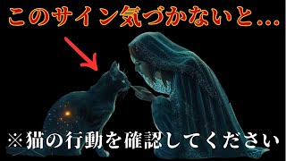 なぜ猫はあなたを選んだのか？そこに隠された深い愛の理由【スピリチュアル】【運気】【エネルギー】