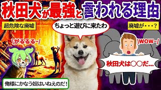 秋田犬が廃墟となったアメリカの村に連れて行かれた結果…