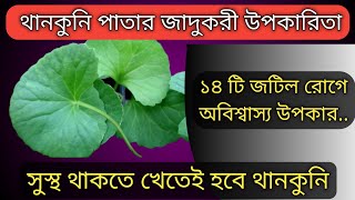 থানকুনি পাতার উপকারিতা || thankuni patar upokarita || Dr Manobendra Mondal