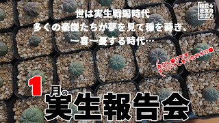 【多肉植物/塊根植物】#246 - 1月の見て欲しい我が家の実生経過報告回【毎月更新】