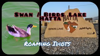 Swan Lake / Birds Lake - Hatta - Dubai Free entry | Roaming Idiots | RI