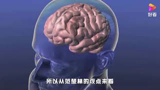 美国科学家惊人之语，宇宙是一个超级大脑，人类活在神经网络中？