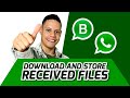 How to Download Media Files with WhatsApp Business API