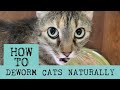 How to Deworm Cats Naturally with Diatomaceous Earth