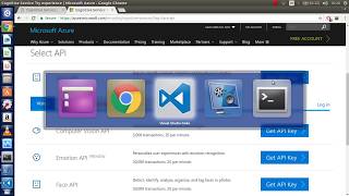 04 - Getting API Key and reference - face api