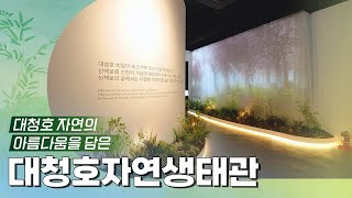 🌱대청호 자연의 아름다움을 담은 대청호자연생태관! l 소개 스케치