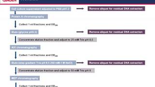 Isolation and quantitation of nucleic acids from bioprocess samples