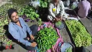 Bapa Sitaram | Bagdana | Rasodu | Seva