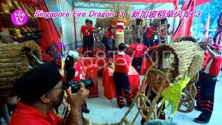 Singapore Fire Dragon 3 新加坡稻草火龙 3