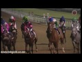 20160122 greyville race 3 won by selvan s jet