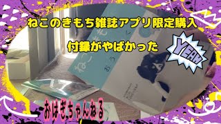 ねこのきもち雑誌付録につられて買っちゃいました。 #cat #猫 #ねこのきもち