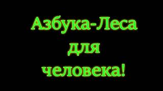 База пиломатериалов АЗБУКА ЛЕСА построит мост