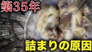 台所の排水管を高圧洗浄機で掃除したらすごいのが出てきた【排水管清掃】