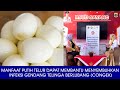 Manfaat Putih Telur Dapat Membantu Menyembuhkan Infeksi Gendang Telinga Berlubang (Congek)