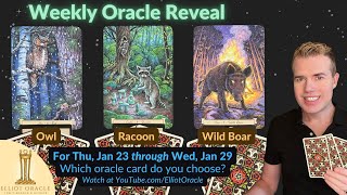 Weekly Oracle Reveal 🔮✨ | Tarot Reading for Jan 23 to Jan 29th | Elliot Oracle 🦉🦝🐗