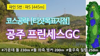 [코스공략] 공주 프린세스GC _ 티샷 목표지점