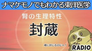 【はじめてでもわかる東洋医学】腎の生理特性【封蔵】【音声解説RADIO】