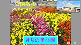 【Walk in the Park】公園散歩＿ゆりの里241116