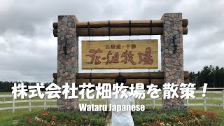 【北海道中札内村】株式会社花畑牧場を散策！