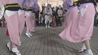 阿波踊り「三茶連」第6回小岩阿波おどり（2019.7.6）