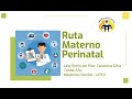 RIA MATERNO PERINATAL