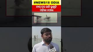 ତାସ୍ ଘର ଭଳି ଭାଙ୍ଗିଗଲା ବିରାଟ ପୋଲ| Breaking News | Nitish Kumar | Bihar Bridge Collapse |Odia News