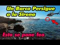 Grabo el CANTO de 2 SIRENAS 2021 Parte 174