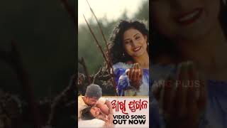 Akhi Jugala |Video Song Out Now  |Subhasis Sharma, Sradha Panigrahi | Aseema, Ashirbad | Tarang Plus