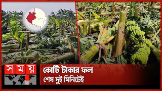 চাঁপাইনবাবগঞ্জে লণ্ডভণ্ড ২০০ বিঘা জমির কলা বাগান | Chapainawabganj | Banana Garden | Cyclone