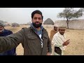 desert life vlog 2 rohi cholistan village life