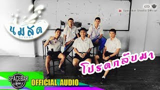 โปรดกลับมา-วงนมสด [OFFICIAL AUDIO]