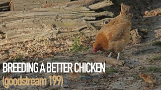 Breeding a Better Chicken (Goodstream #199)