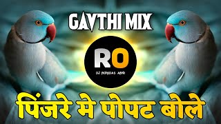 Konse Raste Se Mai Aau - Pinjre Mein Popat Bole DJ Song - DJ Remix - Halgi Pad Mix - DJ Rohidas Arni