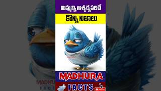 మీరు షాక్ అయ్యే Top 10 ఫాక్ట్స్ | Unknown Facts | Interesting Facts in Telugu | Madhura Facts