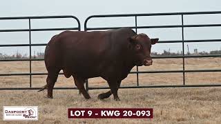 Lot 9 KWG 20 093