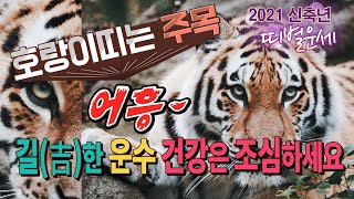 [2021년 신축년 띠별운세보기] 호랑이띠🐯운세!!용한점집,용한무당, 부천,일산 (녹수부인당,010-2974-8999)