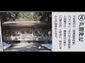 r05 一本杉 戸隠神社 岐阜県郡上市和良町宮地 20231001