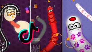 TikTok WormsZone io Compilation Video ( Best Tik Tok Worms Zone io Gameplay Compilation ) #1